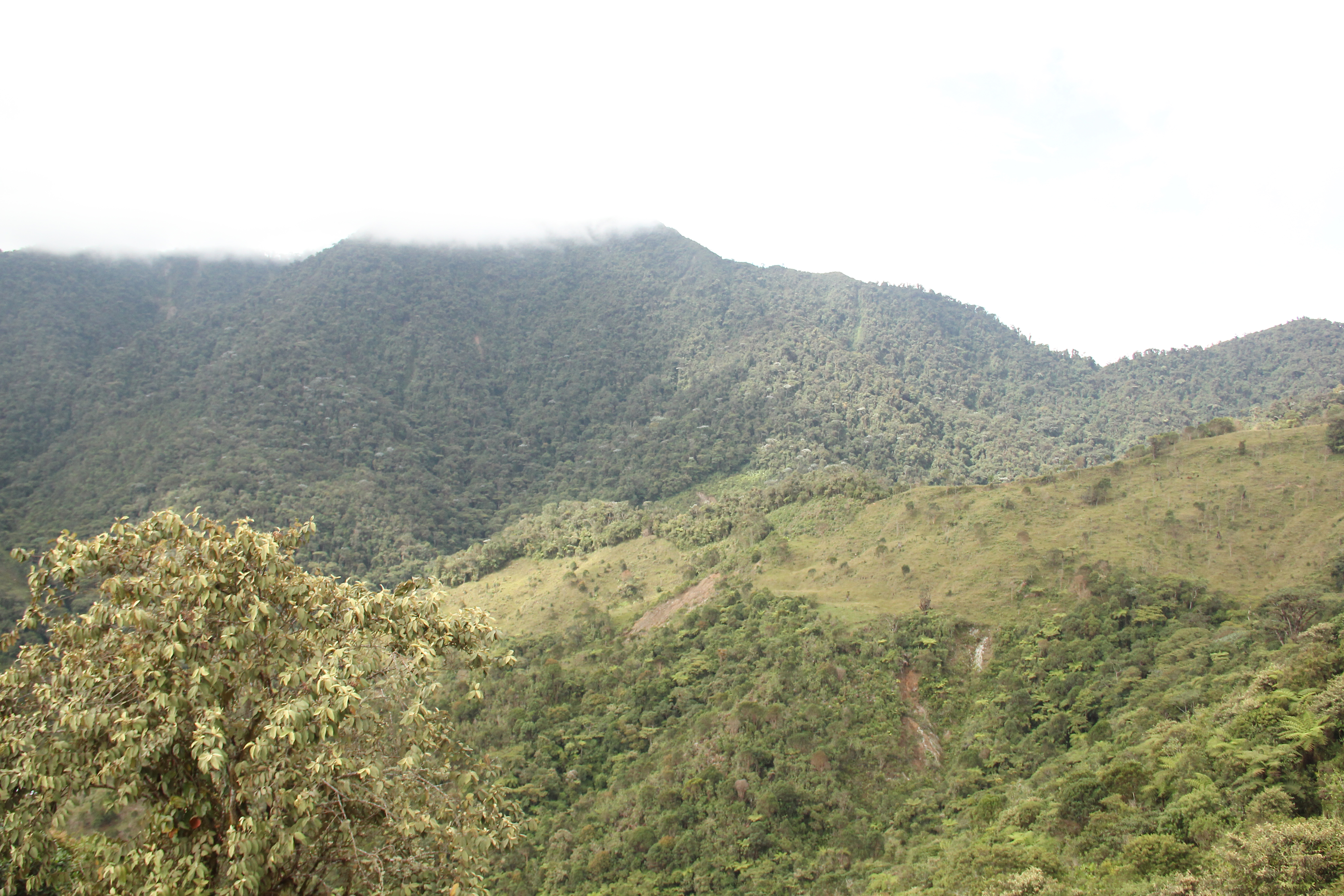 Foto cortesía de Natalia Ocampo-Peñuela